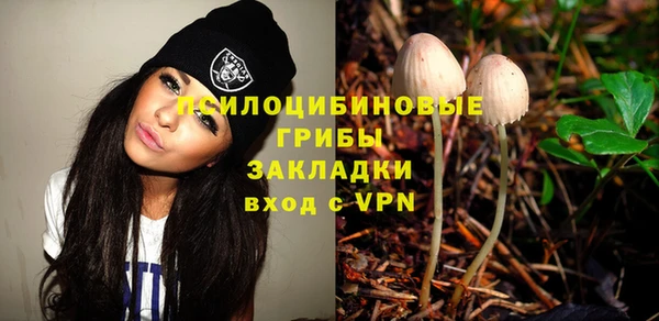 амф Алзамай